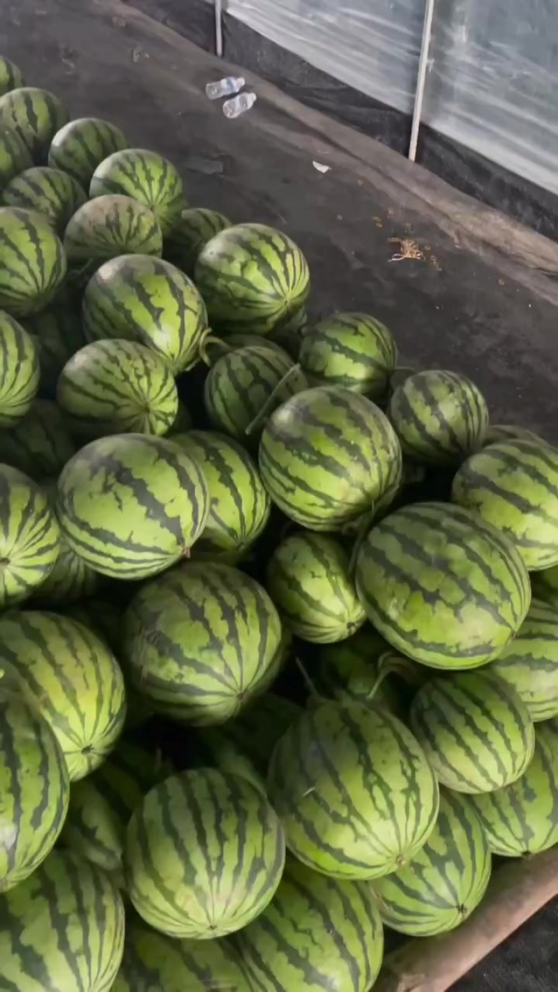 麒麟，美都，甜王