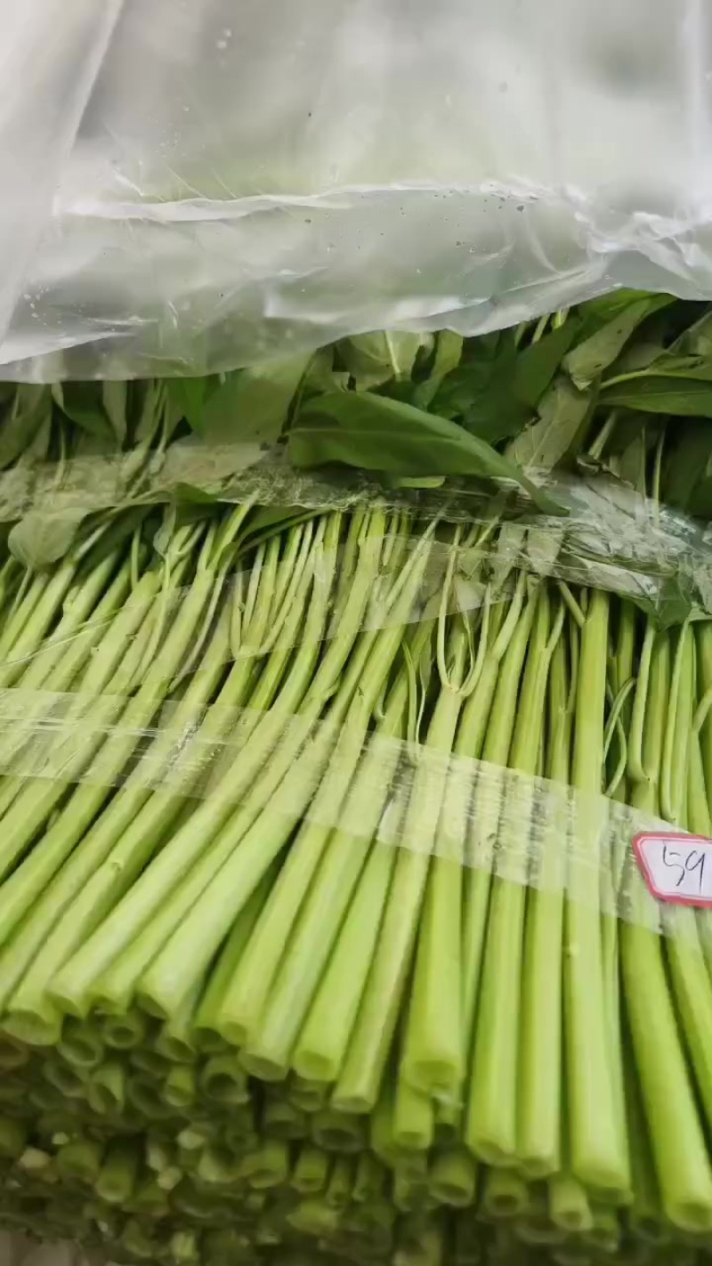 精品泡沫箱空心菜