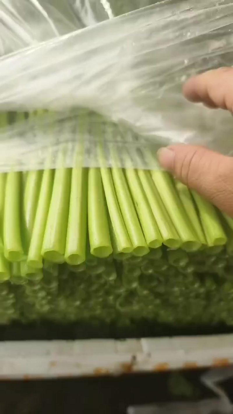 精品泡沫箱空心菜