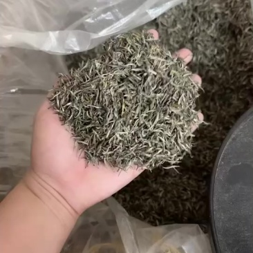 毛尖茶