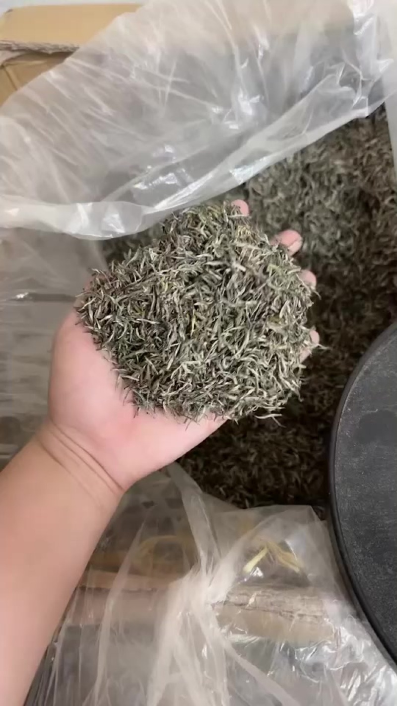 毛尖茶