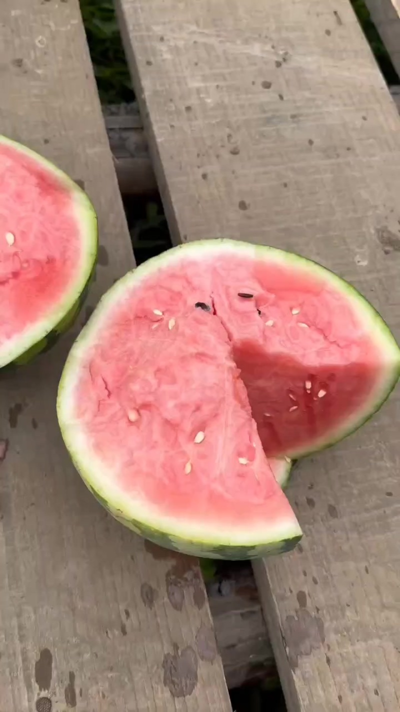 麒麟西瓜
