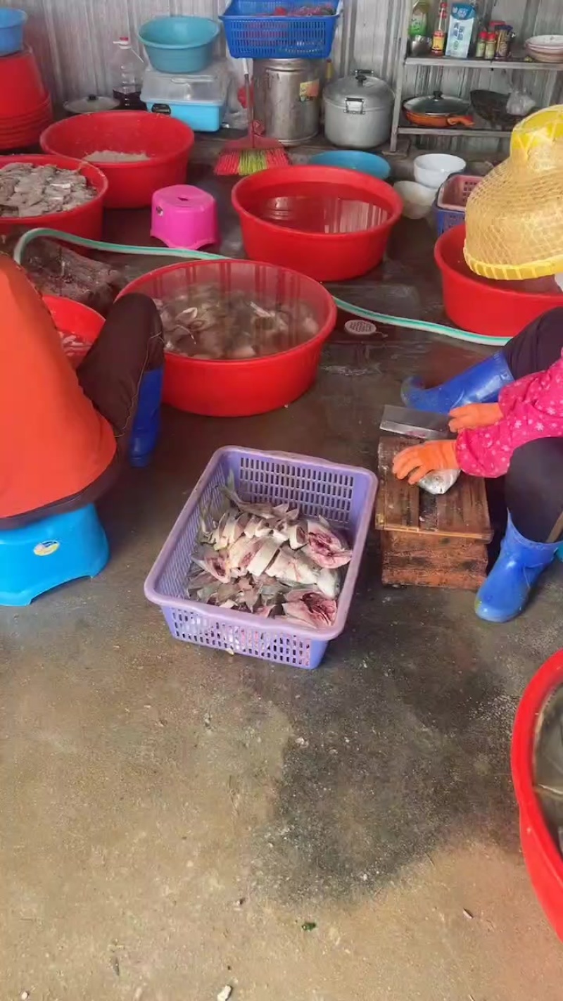 深海金鲳鱼干