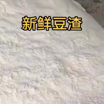 新鲜豆渣