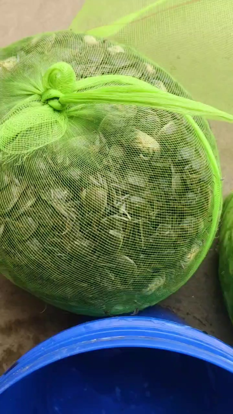 日子满是诗意，未来闸蟹万里。