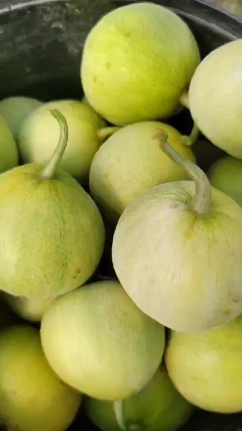 马连庄甜瓜，香脆甜