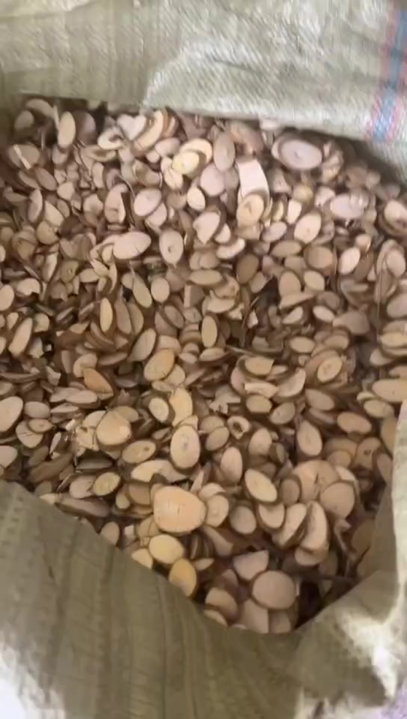 桑枝切片