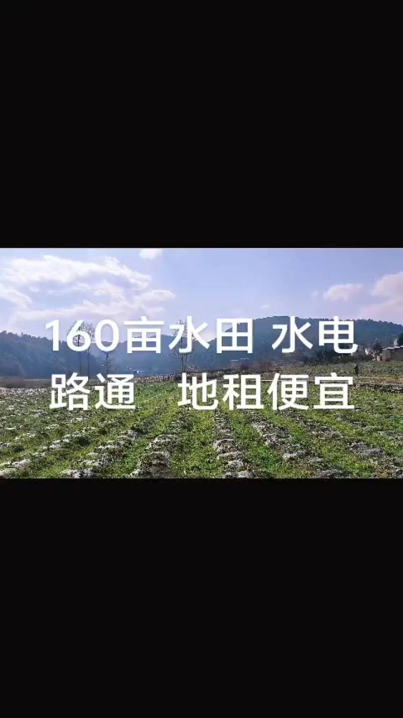 160亩水田水电路通