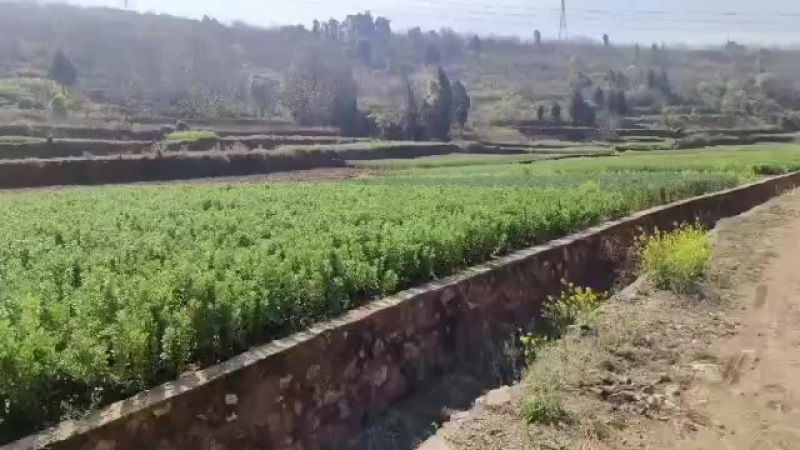 160亩水田水电路通