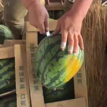 精品甜王