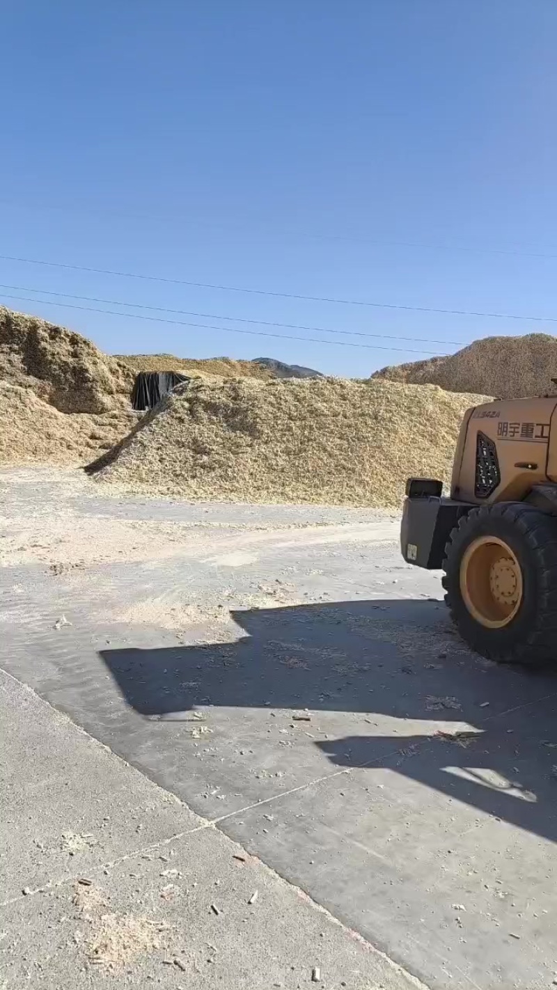 甘肃张掖制种玉米芯加工