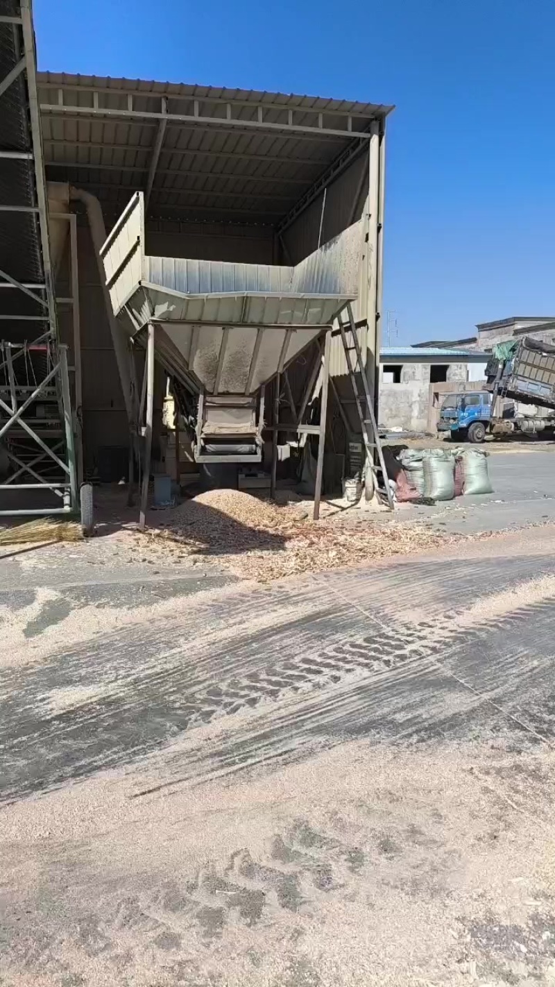甘肃张掖制种玉米芯加工
