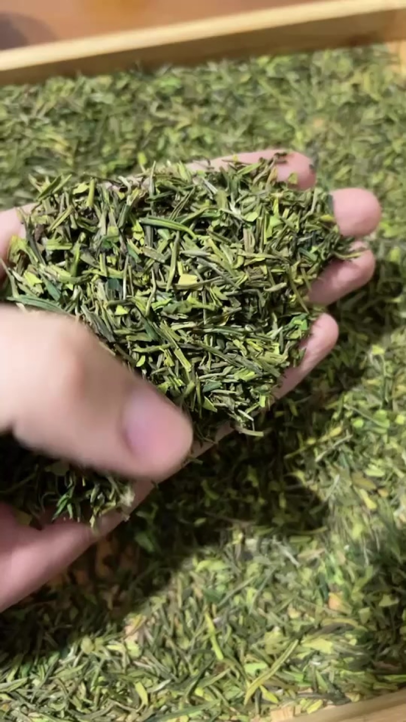 牙尖头子2号
