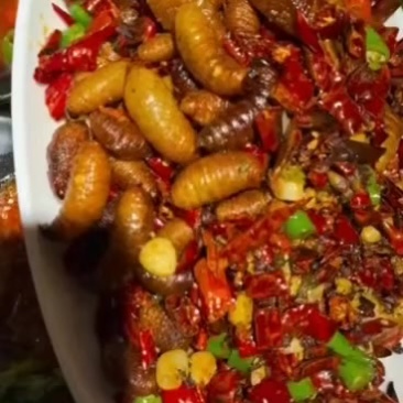 竹虫