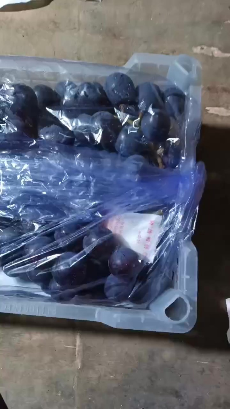 北镇市常兴精品小白箱巨峰葡萄