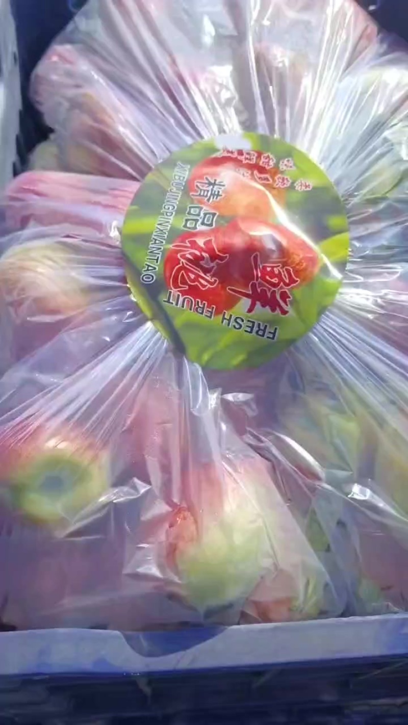 大油桃