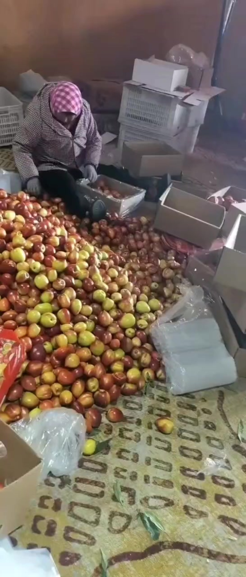大油桃