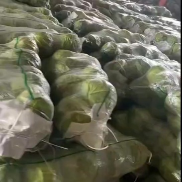 市场，工厂，食堂，等等。都可以用了，价格很低，