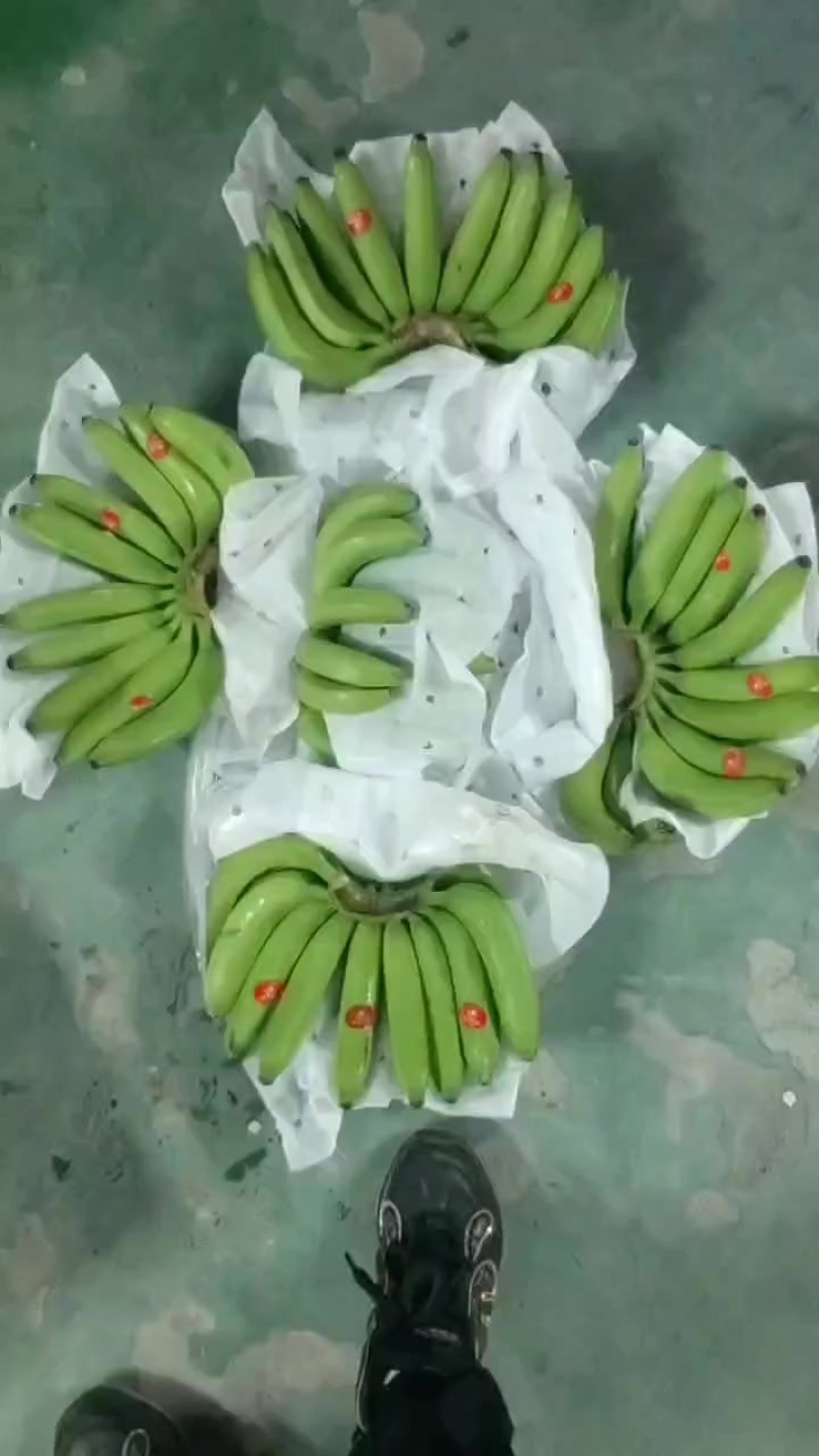 特价生蕉大处理