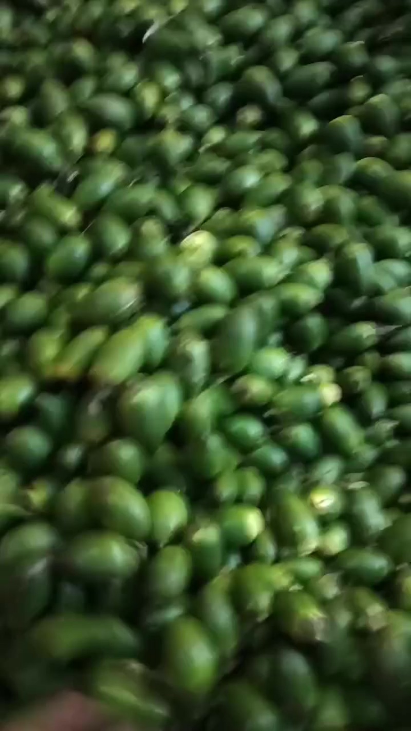 槟榔