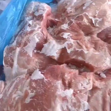 母猪四号肉板25kg纯干临沂提货25年新货