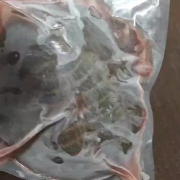 甲鱼现杀甲鱼