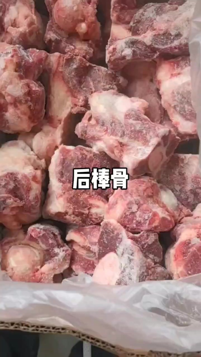 后棒骨