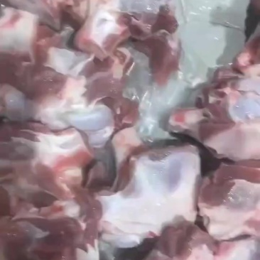 内蒙满肉羊棒骨