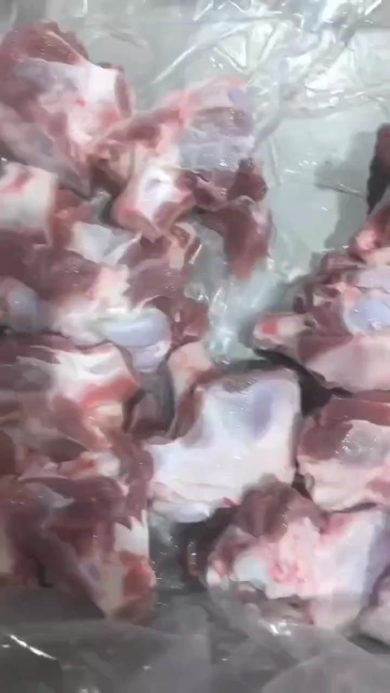 内蒙满肉羊棒骨