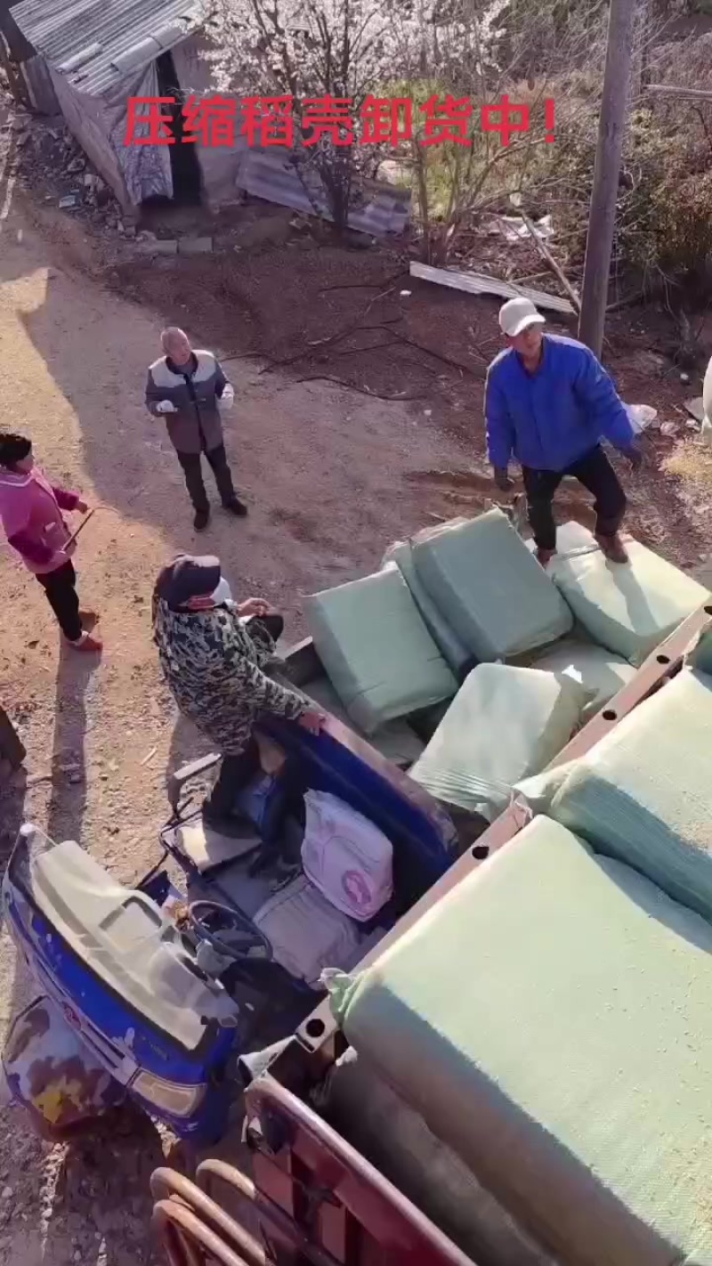 压缩稻壳卸货中！