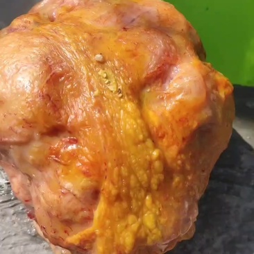 自己家喂了十年的老母鸡杀鸡时发现了鸡宝