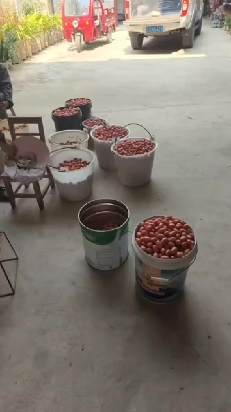 酸酸甜甜的