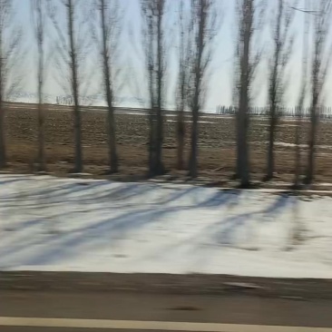 塔城地区有2000亩井灌地
