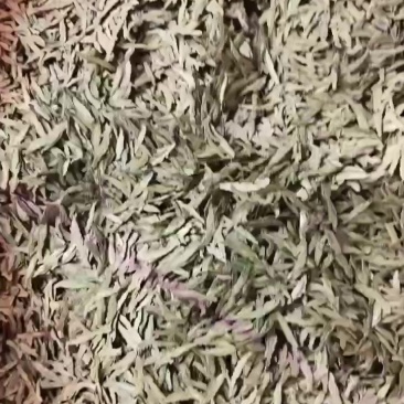今黔西南州