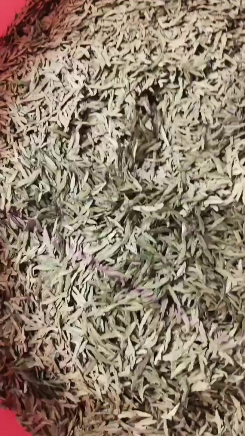 今黔西南州