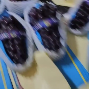 北镇辽峰葡萄特卖