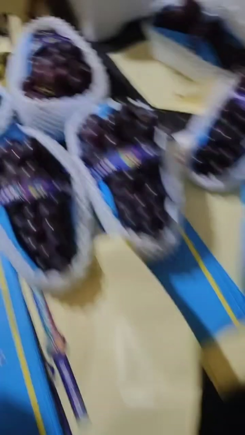 北镇辽峰葡萄特卖