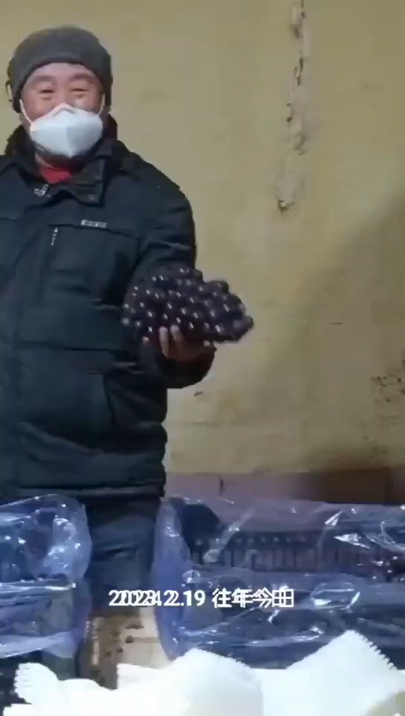 北镇辽峰葡萄特卖