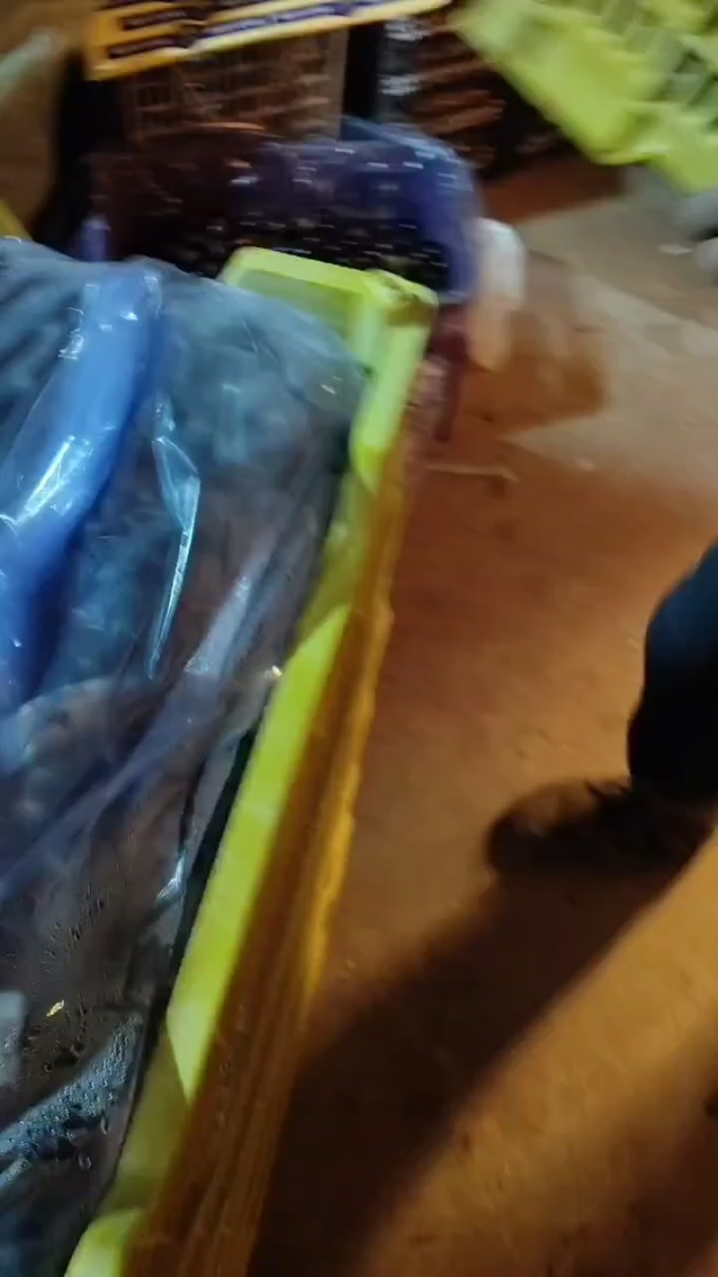 北镇辽峰葡萄特卖
