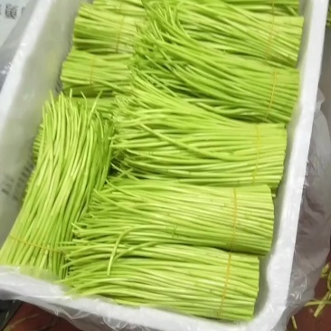 这么好的货没人要难搞哦***********
