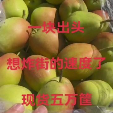 红香酥梨