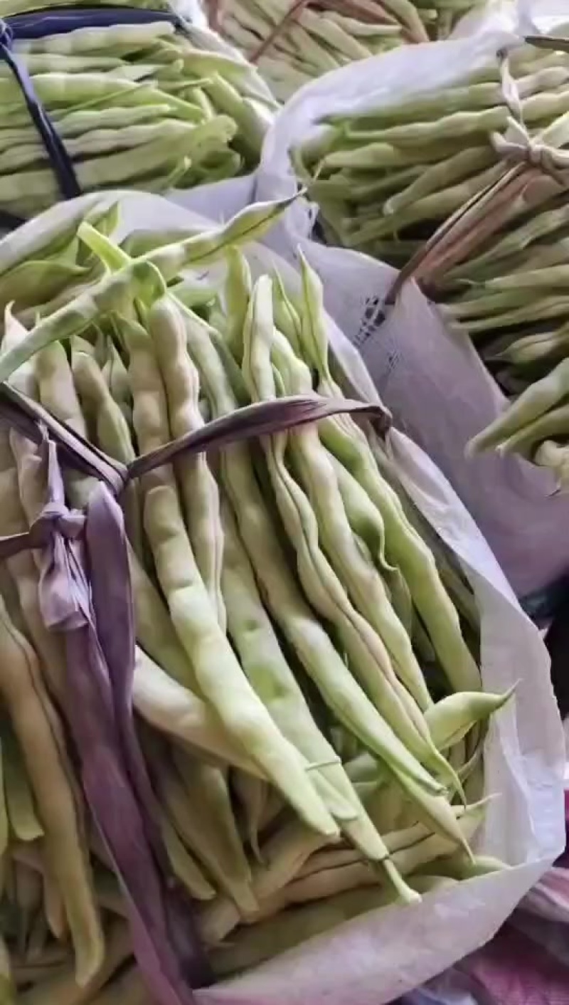 3.19号芸豆大量精品有货
