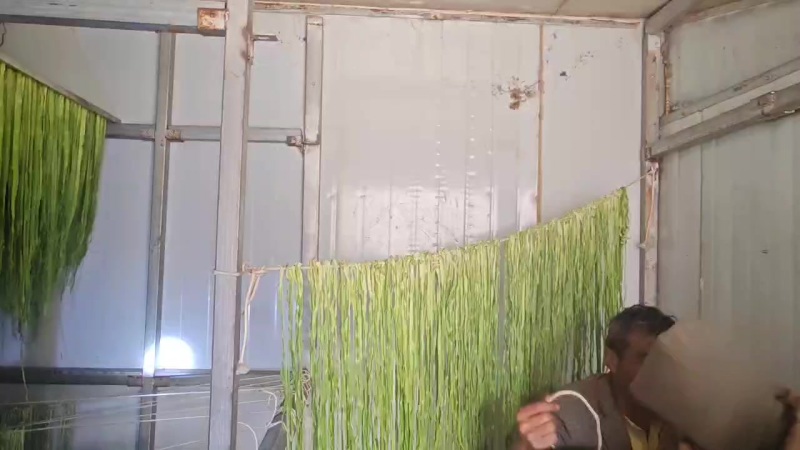 贡菜