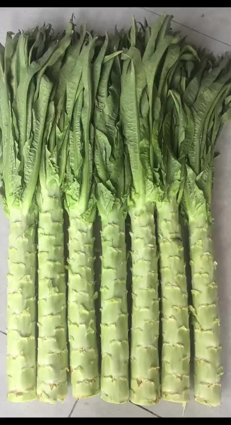 精品莴笋莴笋杆子
