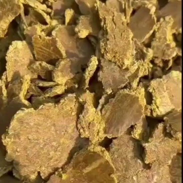 棉籽饼