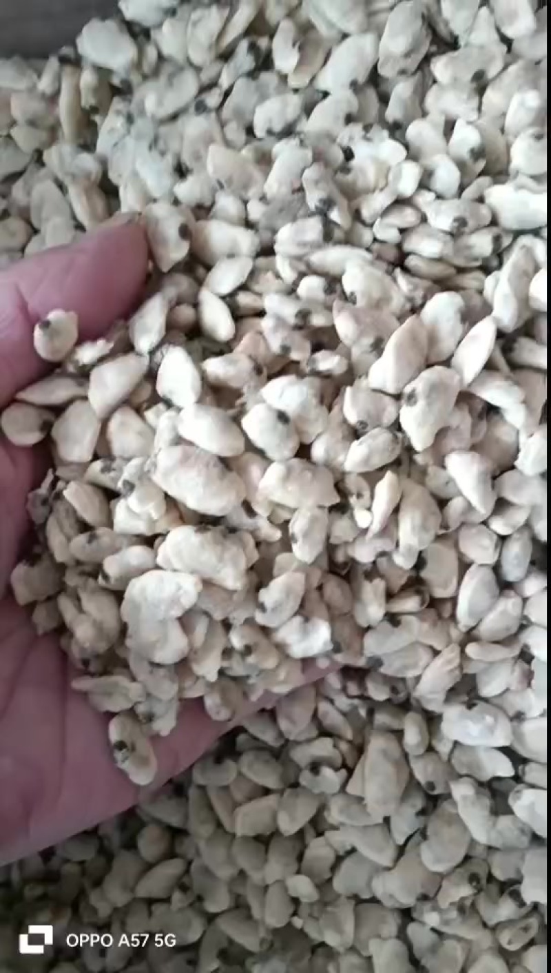 海瓜子肉