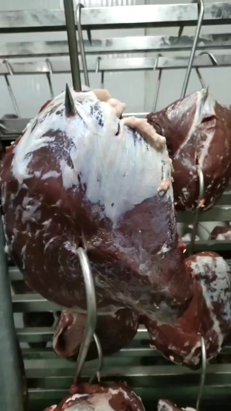 纯干无水牛霖肉，后腿肉，纯干无水