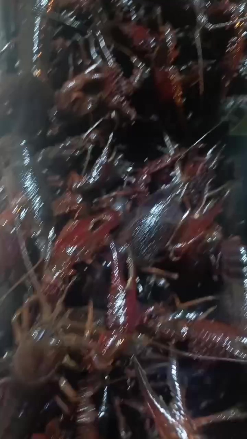 产地直销价格，广州发货，送货上门，质量保证