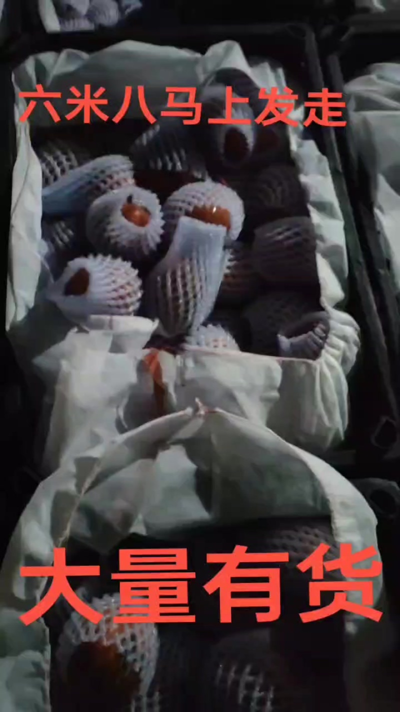 普罗旺斯水果西红柿