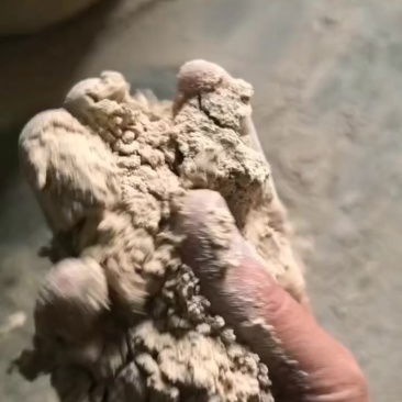 玉米淀粉面：淀粉30左右，灰分5，蛋白9，纤维10